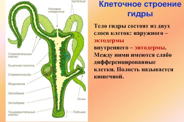 Кракен сбой