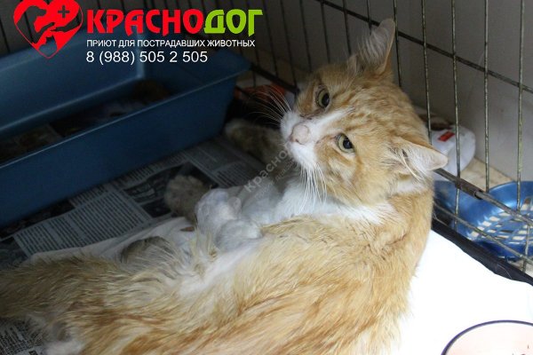 Купить наркотики томск