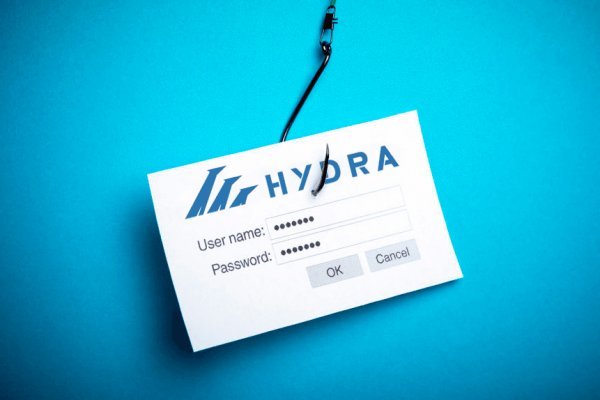 Darknet как войти
