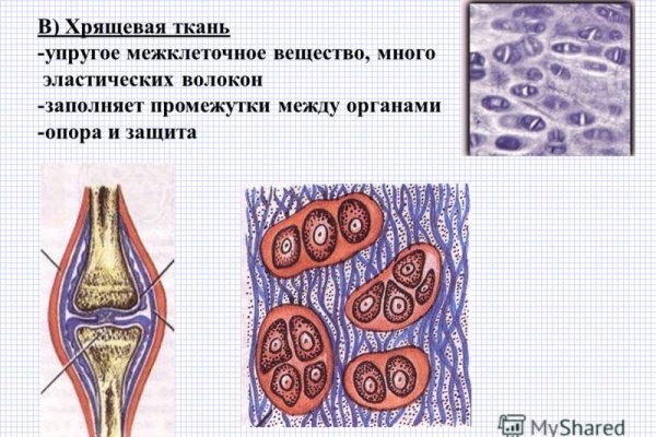 Кракен ссылка тупа германия