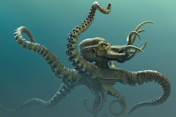 Kraken 23 at