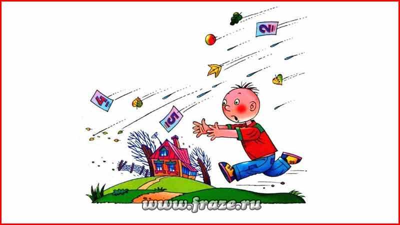 Кракен маркетплейс ассортимент